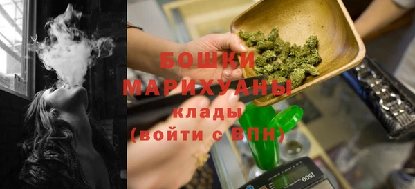 сатива Протвино