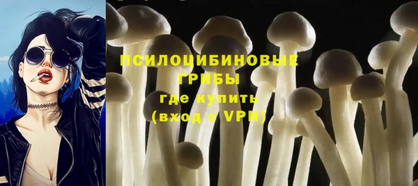 трава Мегион