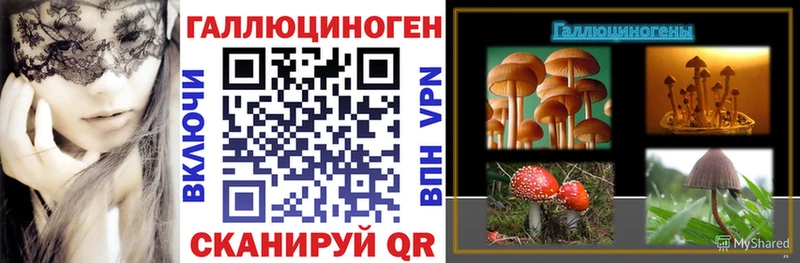 blacksprut маркетплейс  магазин  наркотиков  Фрязино  Галлюциногенные грибы Psilocybe 