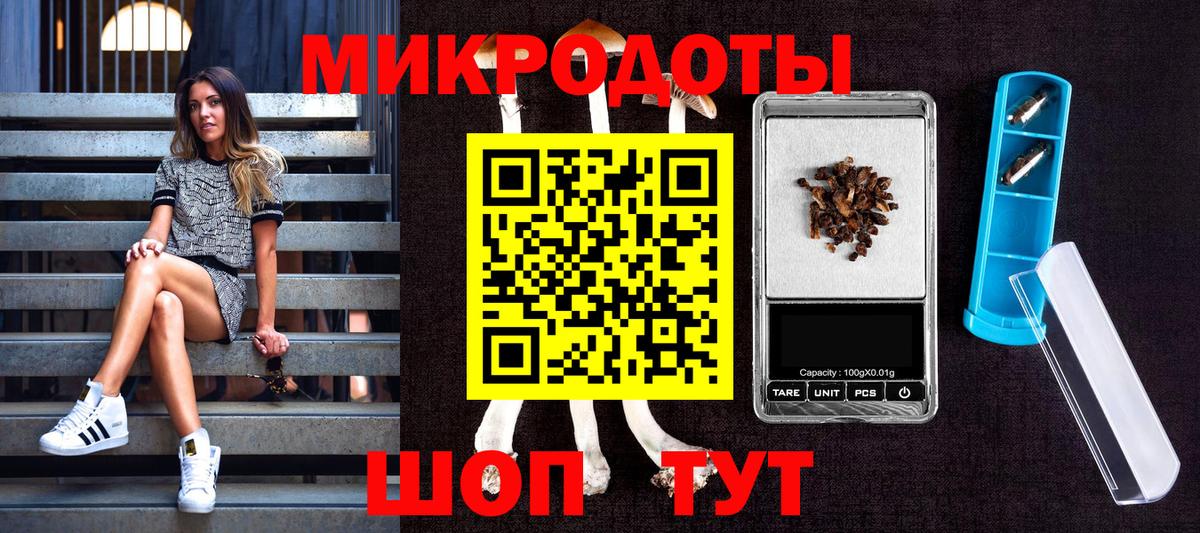 Галлюциногенные грибы Cubensis Фрязино