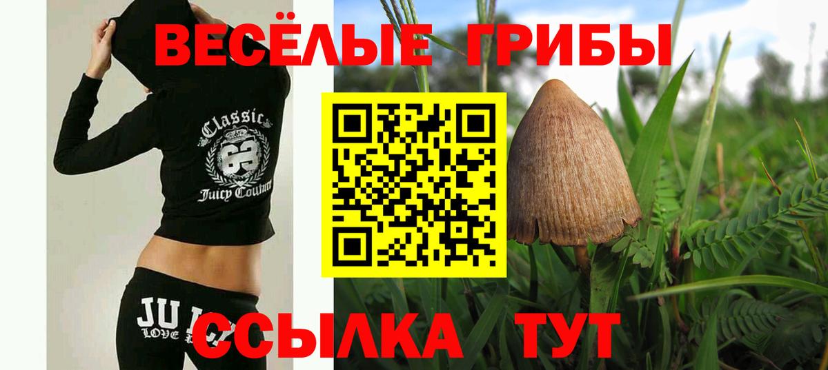Псилоцибиновые грибы Psilocybine cubensis Фрязино