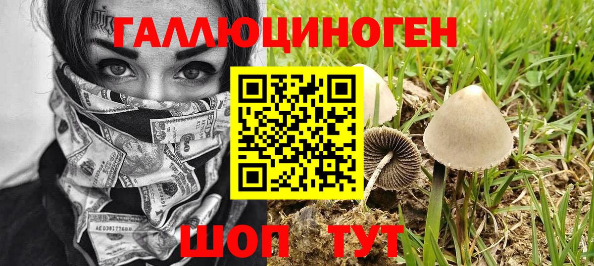 Псилоцибиновые грибы ЛСД  Вход с VPN  Фрязино 