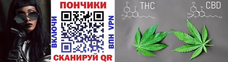 как найти   Фрязино  kraken ссылки  Канабис план 